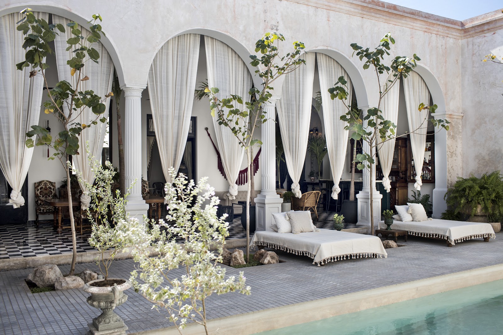 Best Pet Friendly Hotels in Mexico