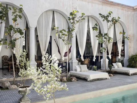 Casa Olivia