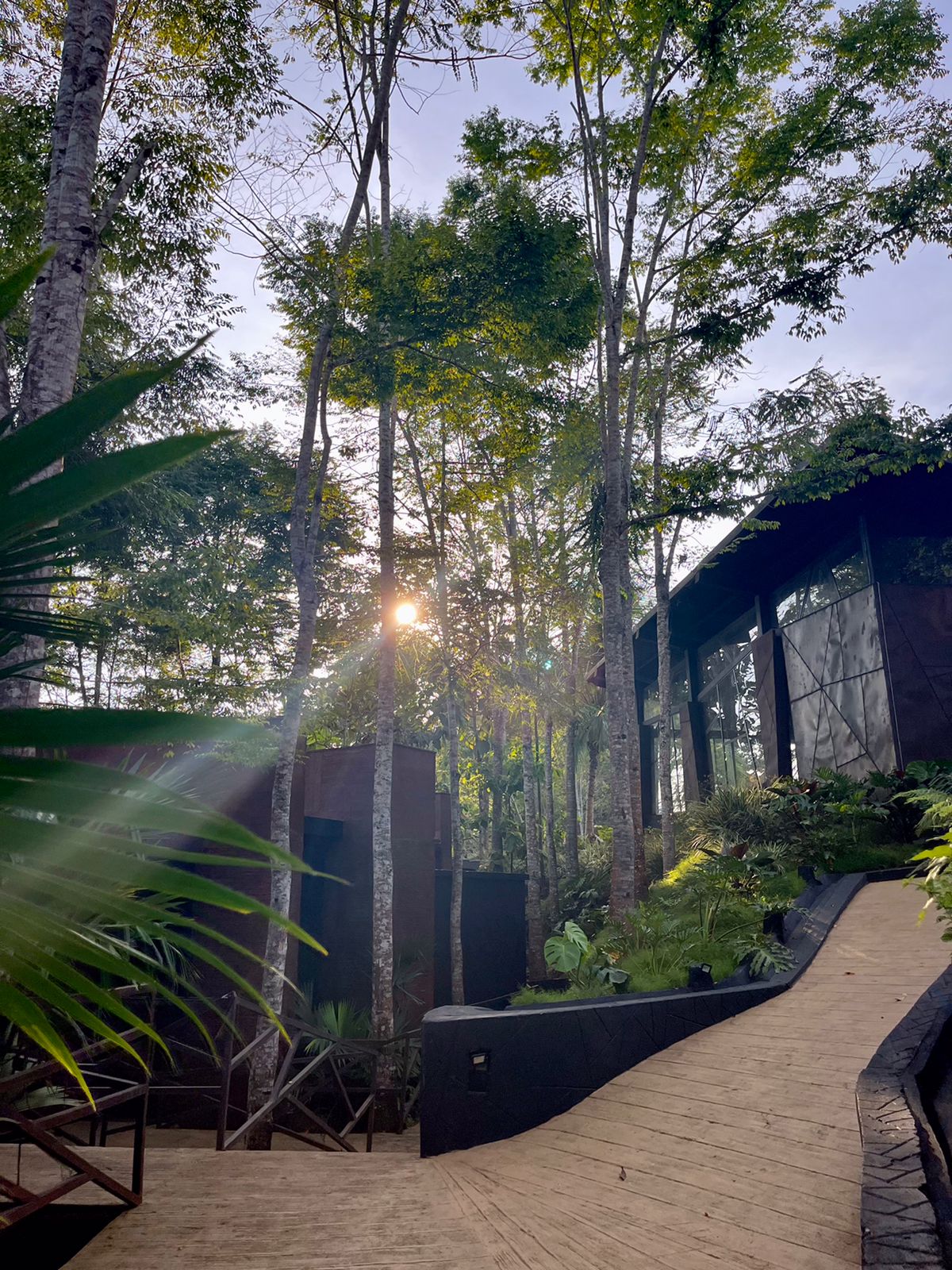 Best Pet Friendly Hotels in Colombia
