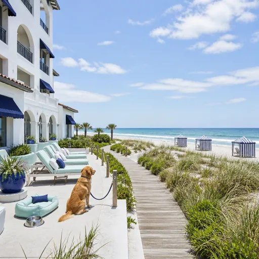 Elegant pet friendly hotels in Gulf Shores for a refined coastal escape